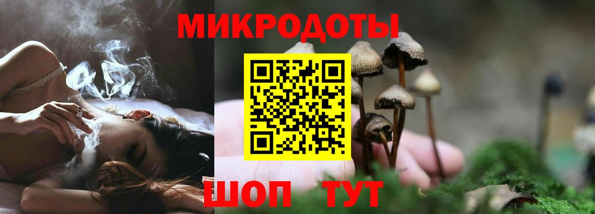 закладки  Вход с VPN  Сатка  Псилоцибиновые грибы Psilocybe 